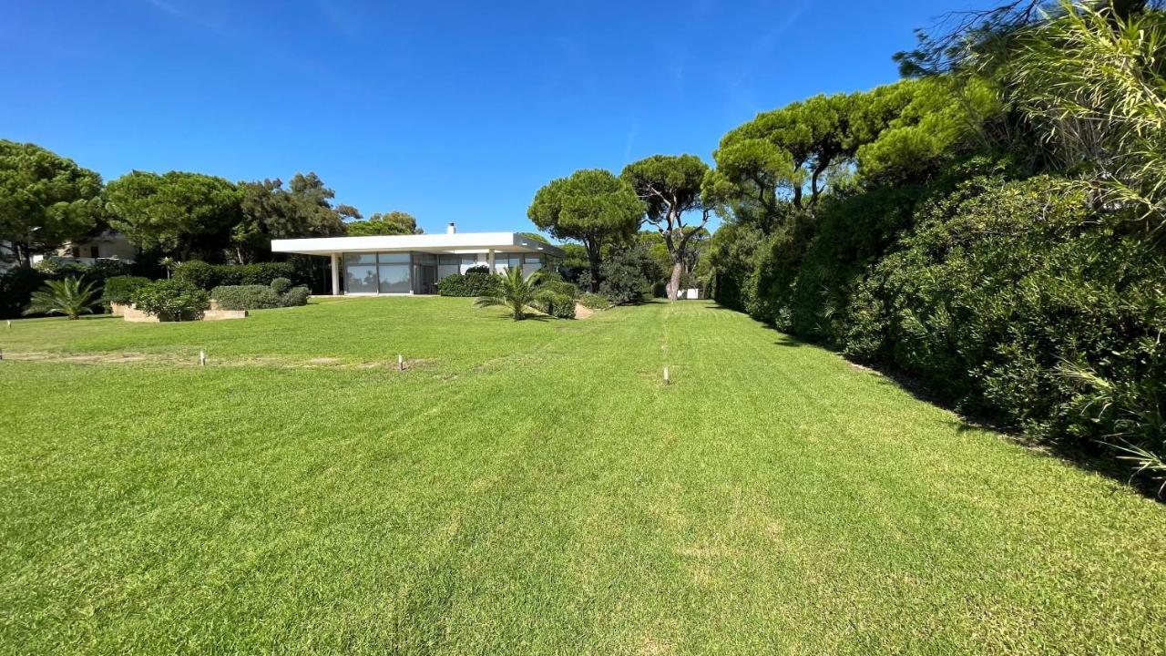 Beachfront Villa Hoopoe Schinias, Marathon Eksteriør billede