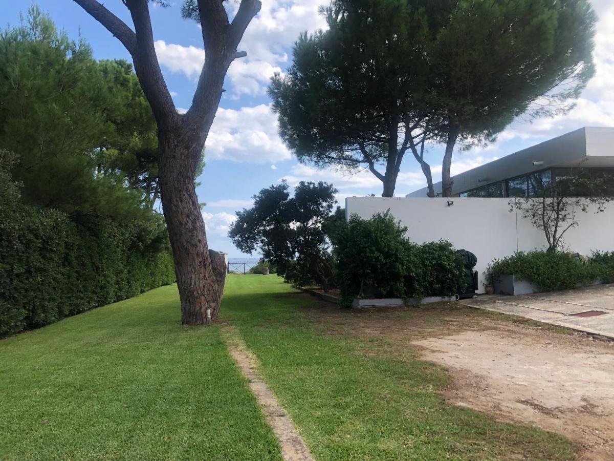 Beachfront Villa Hoopoe Schinias, Marathon Eksteriør billede