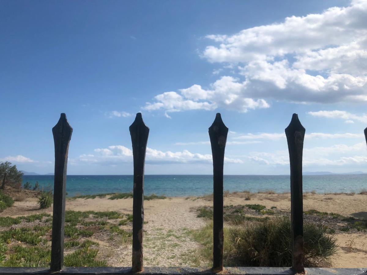 Beachfront Villa Hoopoe Schinias, Marathon Eksteriør billede